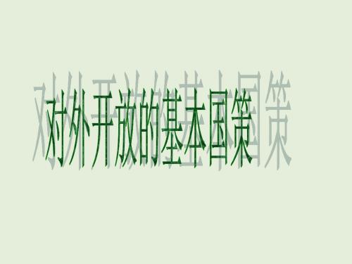 九年级政治了解基本国策与发展战略 (2)