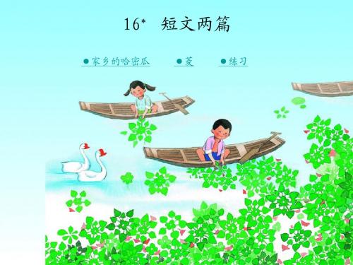 016第十六课_短文两篇__家乡的哈密瓜__菱
