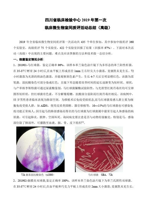 四川省临床检验中心2019年第一次临床微生物室间质评