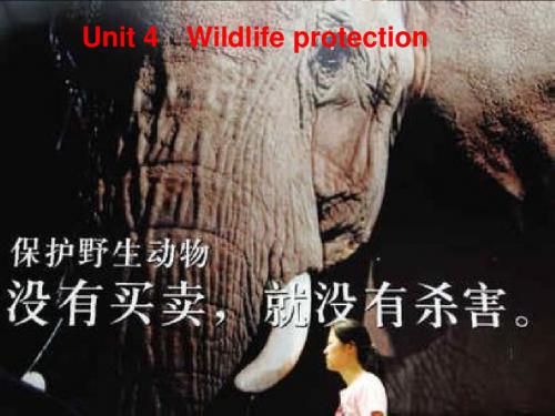 【金版新学案】2015高考英语(人教版)大一轮复习讲义必修2Unit4 Wildlifeprotection