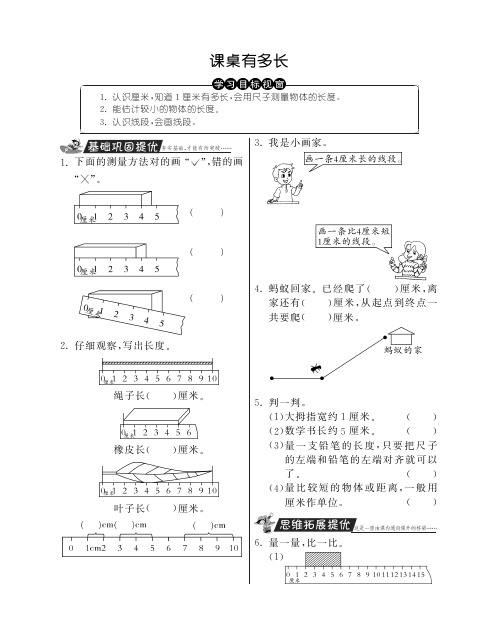 北师大版数学二年级上册试题-课桌有多长PDF版,含答案