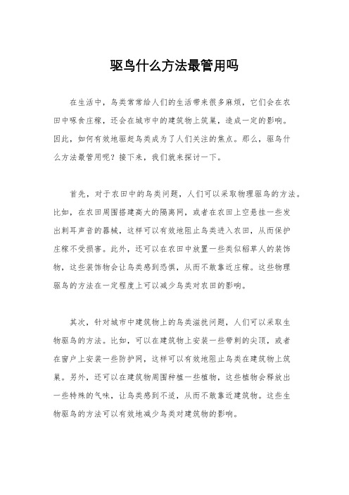 驱鸟什么方法最管用吗