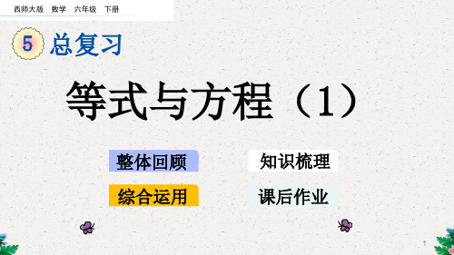 六年级下册数学课件-总复习 1.8 等式与方程(1) 西师大版(共13张PPT)