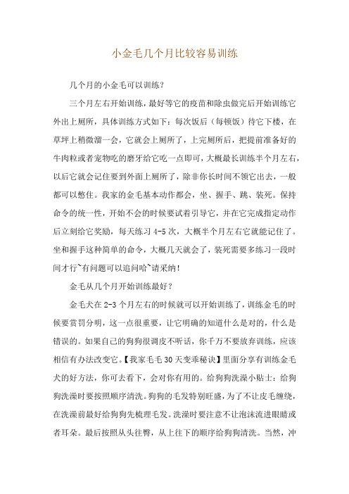 小金毛几个月比较容易训练