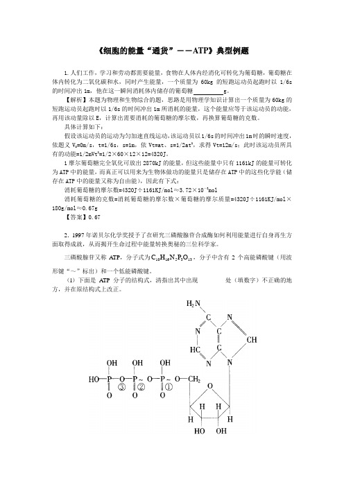 人教课标生物必修1《细胞的能量“通货”——ATP》典型例题