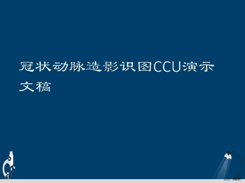 冠状动脉造影识图CCU演示文稿