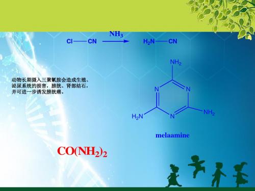 含氮化合物ppt课件