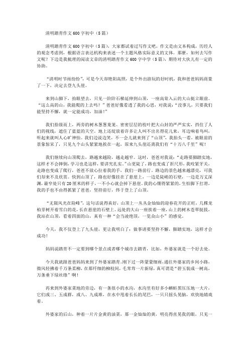 清明踏青作文600字初中(5篇)精选作文范文