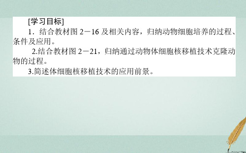 新课标高中生物专题2细胞工程2.2动物细胞工程2.2.1动物细胞培养和核移植技术课件新人教版选修