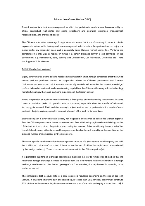 Joint Venture (JV)