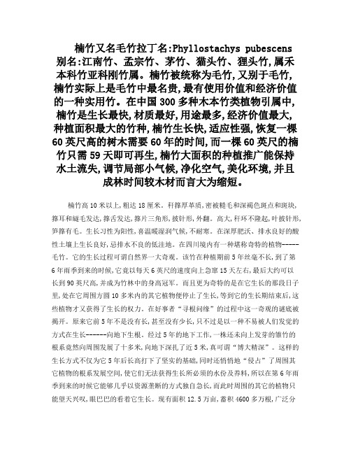 楠竹又名毛竹拉丁名