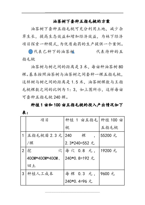 油茶树下套种五指毛桃的方案