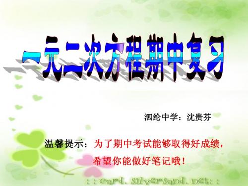 2012-2013学年一元二次方程期中复习(沈贵芬)