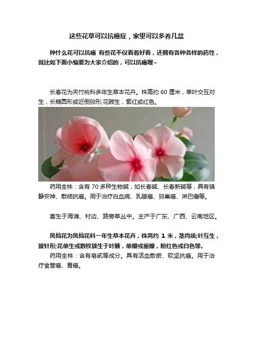 这些花草可以抗癌症，家里可以多养几盆