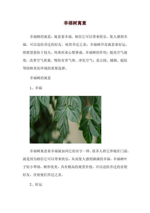 幸福树寓意