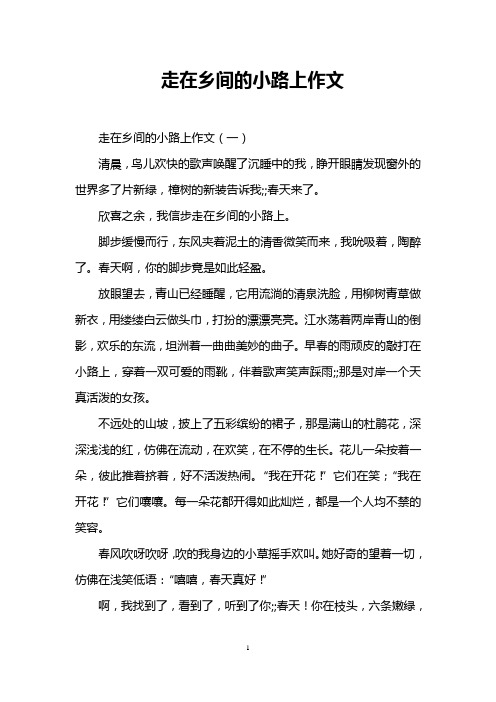 走在乡间的小路上作文