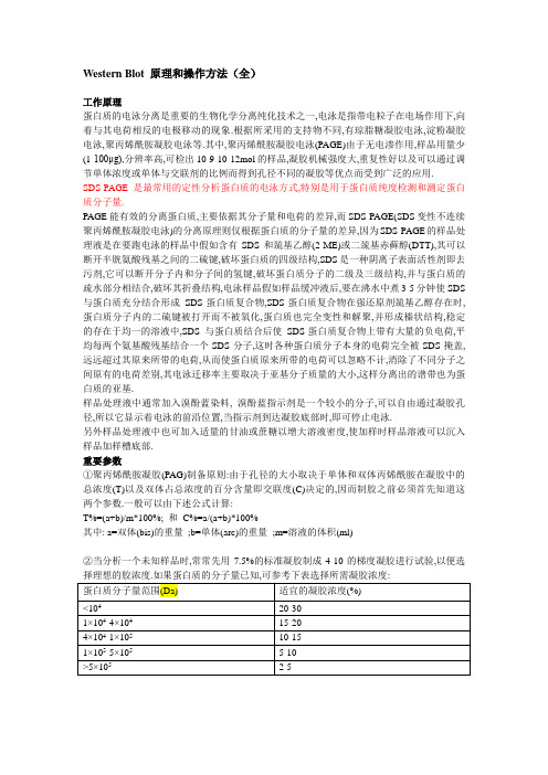 Western Blot 原理和操作方法(全)