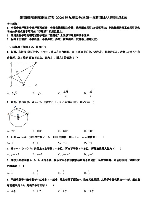 湖南省邵阳邵阳县联考2024届九年级数学第一学期期末达标测试试题含解析