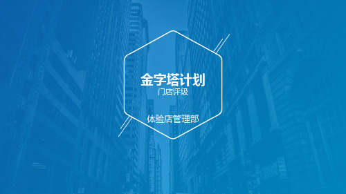 金字塔计划执行方___825
