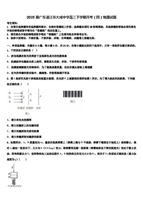 2025届广东湛江市大成中学高三下学期月考(四)物理试题