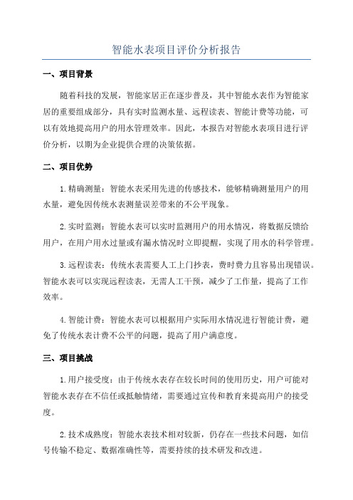 智能水表项目评价分析报告