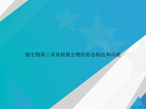 微生物第三章真核微生物的形态构造和功能讲课文档