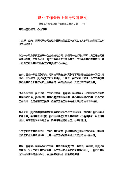 就业工作会议上领导致辞范文2篇