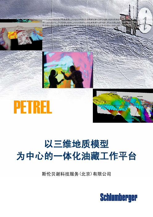 petrel以三维地质模型 为中心的一体化油藏工作平台介绍