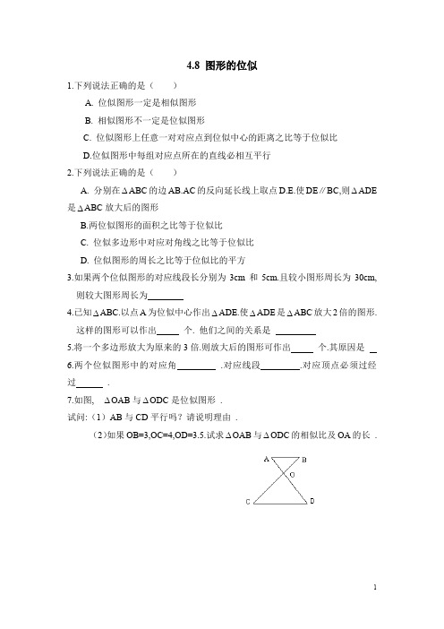 北师大版九年级数学《图形的位似》基础练习2(含答案)