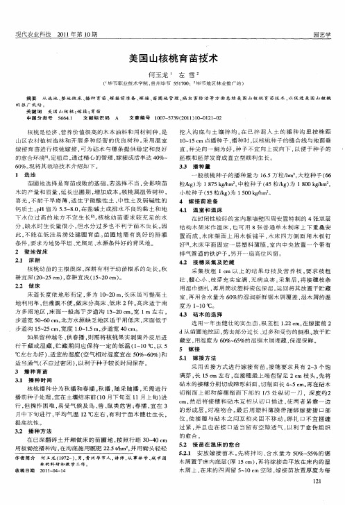 美国山核桃育苗技术