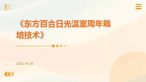 东方百合日光温室周年栽培技术