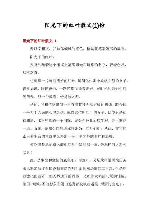 阳光下的红叶散文份