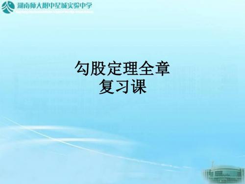 勾股定理全章复习课ppt课件