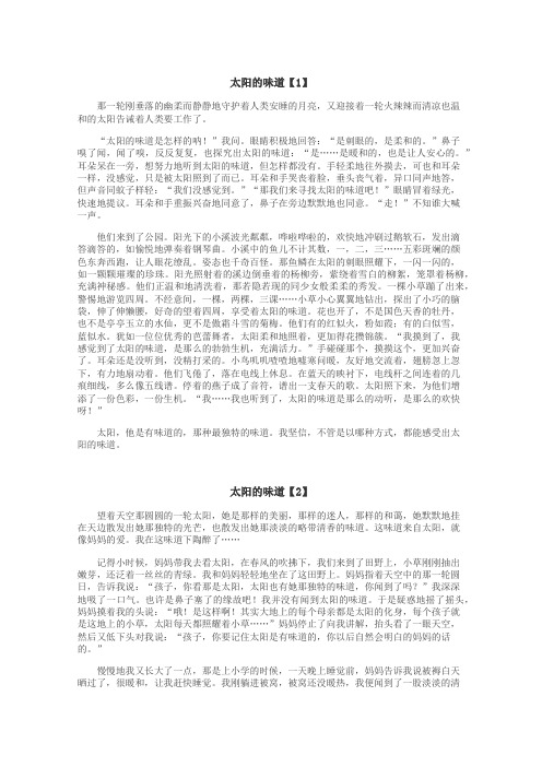 太阳的味道作文
