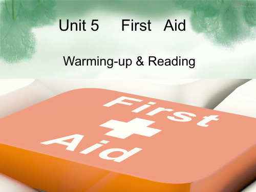 Unit5Firstaid教学课件