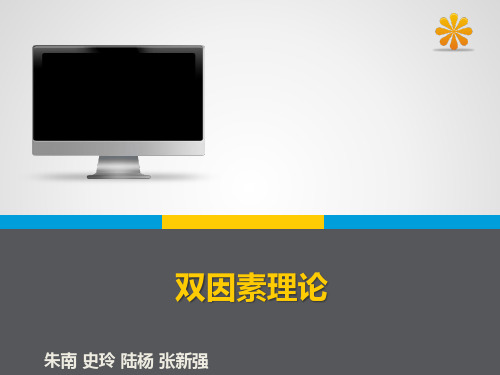 IT项目管理案例展示——双因素理论