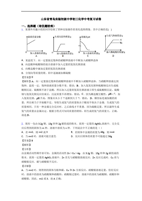 山东省青岛实验初级中学初三化学中考复习试卷