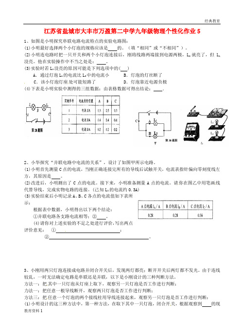 江苏省盐城市大丰市万盈第二中学九年级物理个性化作业5(无答案) 苏科版