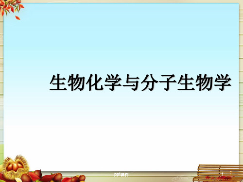 《生物化学与分子生物学》蛋白质生物合成  ppt课件