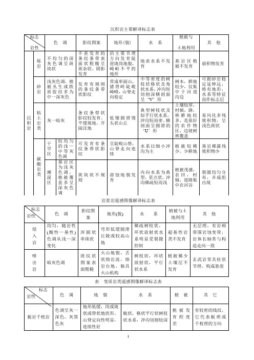 主要解译标志表