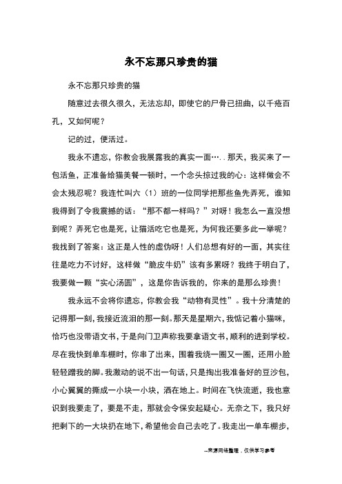 永不忘那只珍贵的猫_小学五六年级记事