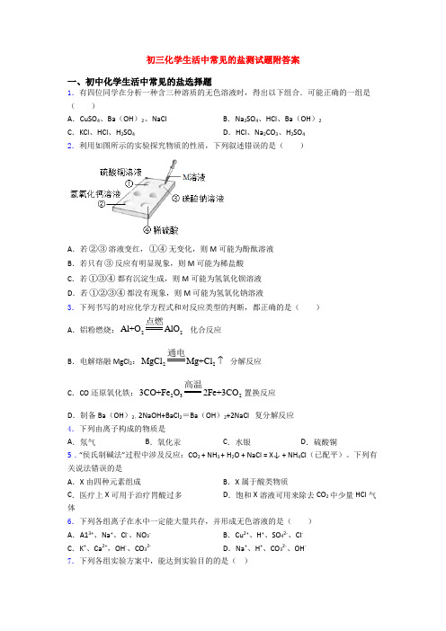 初三化学生活中常见的盐测试题附答案