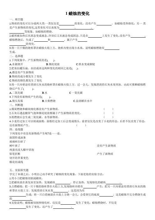 苏教版六年级科学上册名校作业