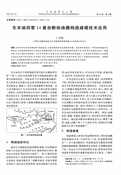 东辛油田营14复杂断块油藏构造建模技术应用