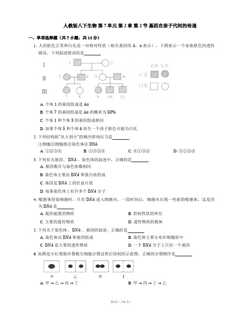 人教版八下生物 第7单元 第2章 第2节 基因在亲子代间的传递(word版 含答案)