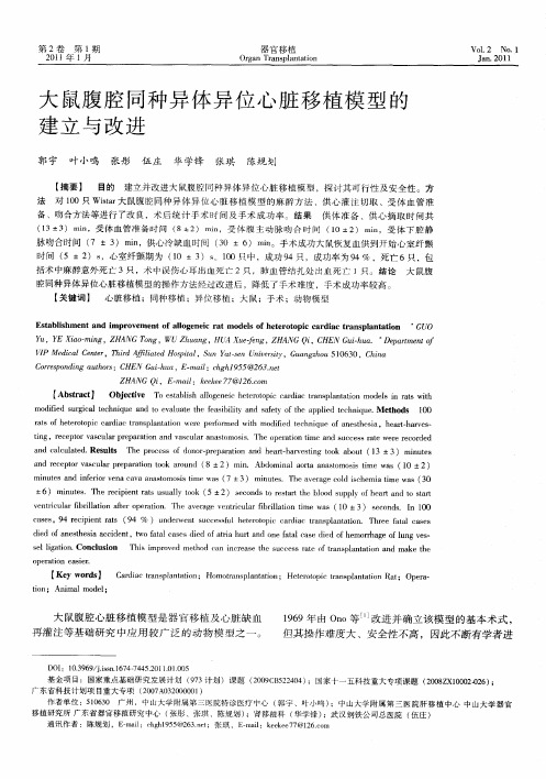 大鼠腹腔同种异体异位心脏移植模型的建立与改进