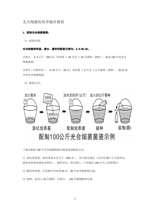 光合细菌的培养操作教程