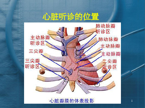 心脏听诊完整ppt课件