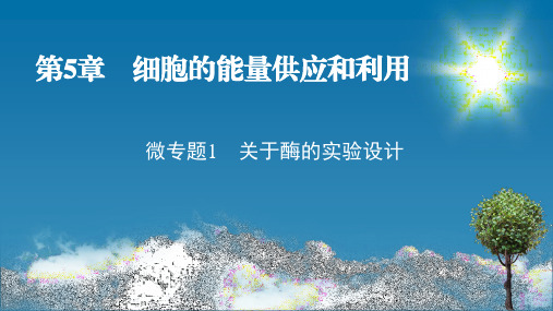 人教版高中生物必修第1册 微专题1 关于酶的实验设计