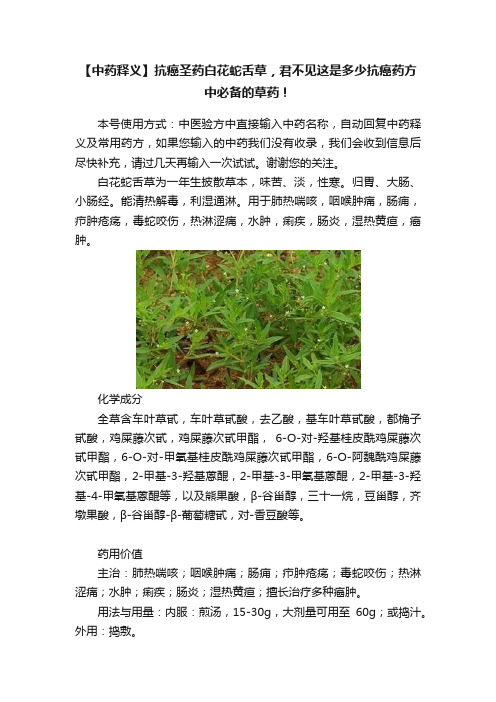 【中药释义】抗癌圣药白花蛇舌草，君不见这是多少抗癌药方中必备的草药！